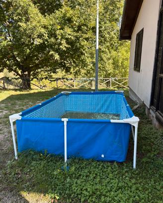 piscina intex
