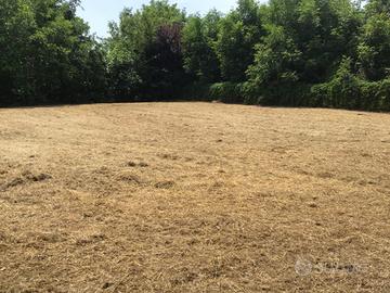 Terreno edificabile 550 mq