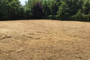 Terreno edificabile 550 mq