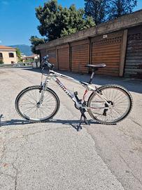 Bicicletta Bottecchia