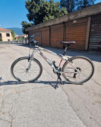 Bicicletta Bottecchia