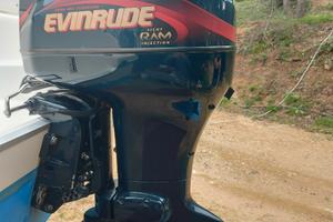 Motore fitch ram 115