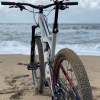 Specialized enduro