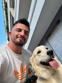 Ripetizioni private informatica / chimica