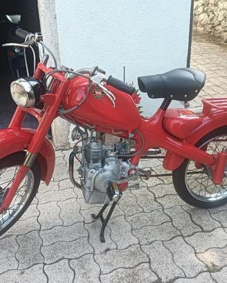Motom 48 4t