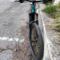 Bici elettrica bergamont