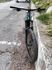 Bici elettrica bergamont