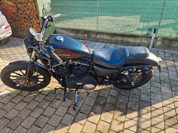 Harley Davidson XL 883N