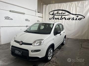 FIAT Panda 1.0 firefly hybrid s&s 70cv TUA DA...