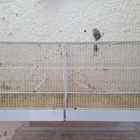 Gabbia da 120cm per canarini