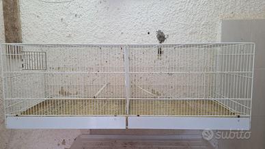 Gabbia da 120cm per canarini