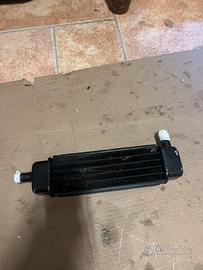 Radiatore f12