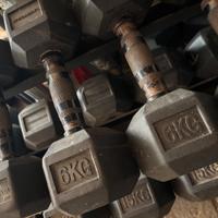 Manubri esagonali gommati 6 kg coppia