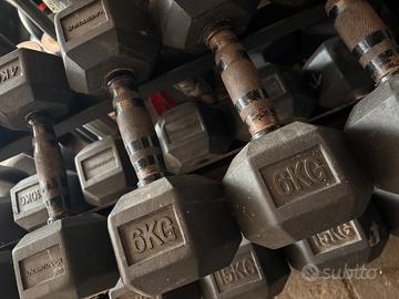 Manubri esagonali gommati 6 kg coppia