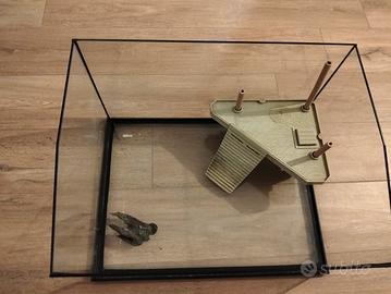 vasca per tartaruga e/o rettili 