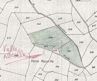 70 are bosco ceduo zona Varoni di Scai (Amatrice)