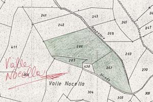 70 are bosco ceduo zona Varoni di Scai (Amatrice)