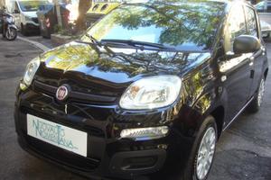 FIAT Panda 1.0 FireFly S&S Hybrid Icon 5°posto K
