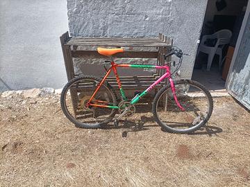 M.Bike Benotto