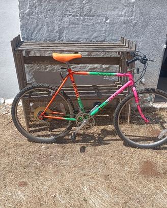 M.Bike Benotto