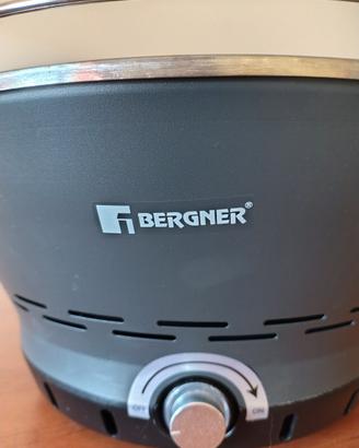 Barbeque Bergner a carbone