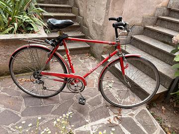 Bici da città Moser
