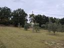 ter-agricolo-a-borghi