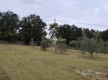 TER. AGRICOLO A BORGHI