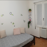 Singola Padova 245 euro