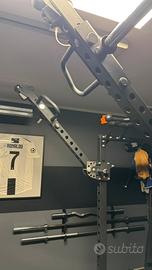 Lacertosus Pro Power Arms 2.0