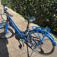 bici elettrica 