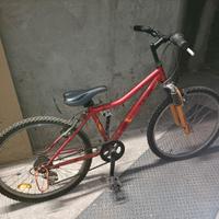 biciclette diversi modelli