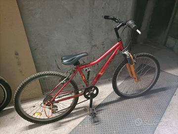 biciclette diversi modelli