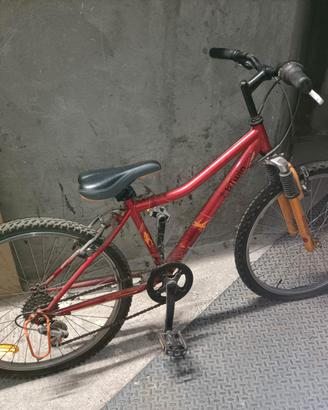 biciclette diversi modelli