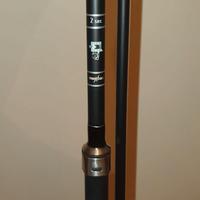 Canne carpfishing