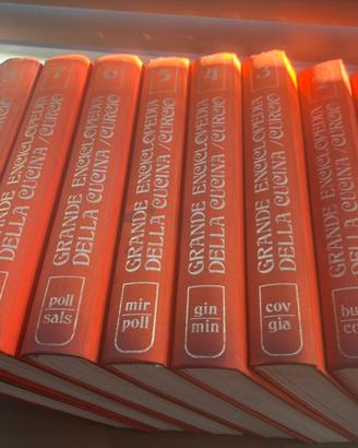 Grande enciclopedia della cucina Curcio