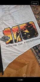 Bandiera a goccia Harley-Davidson