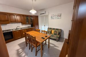 appartamento settembre - giugno