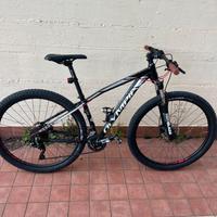 MTB Olympia Drake 29