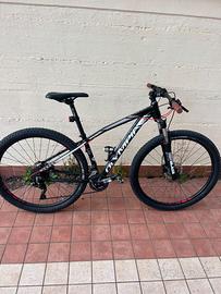 MTB Olympia Drake 29