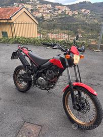 Beta Ubran 200