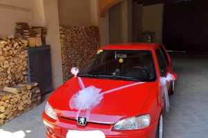 peugeot 106gti. 