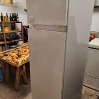 Frigorifero Rex Electrolux con cella freezer