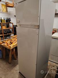 Frigorifero Rex Electrolux con cella freezer