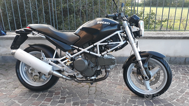 Ducati monster