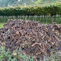 Legna secca di vigna