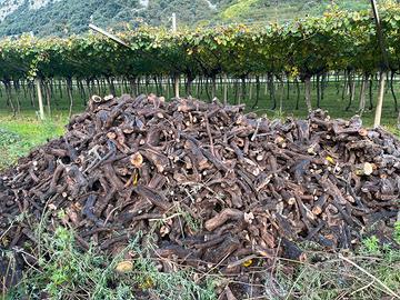 Legna secca di vigna