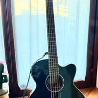 Basso acustico 5 corde elettrificato
