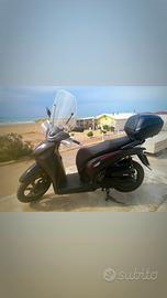 Honda sh 350 sport
