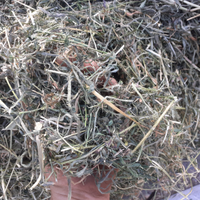 Fieno-erba medica
